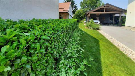 Gartenpflege